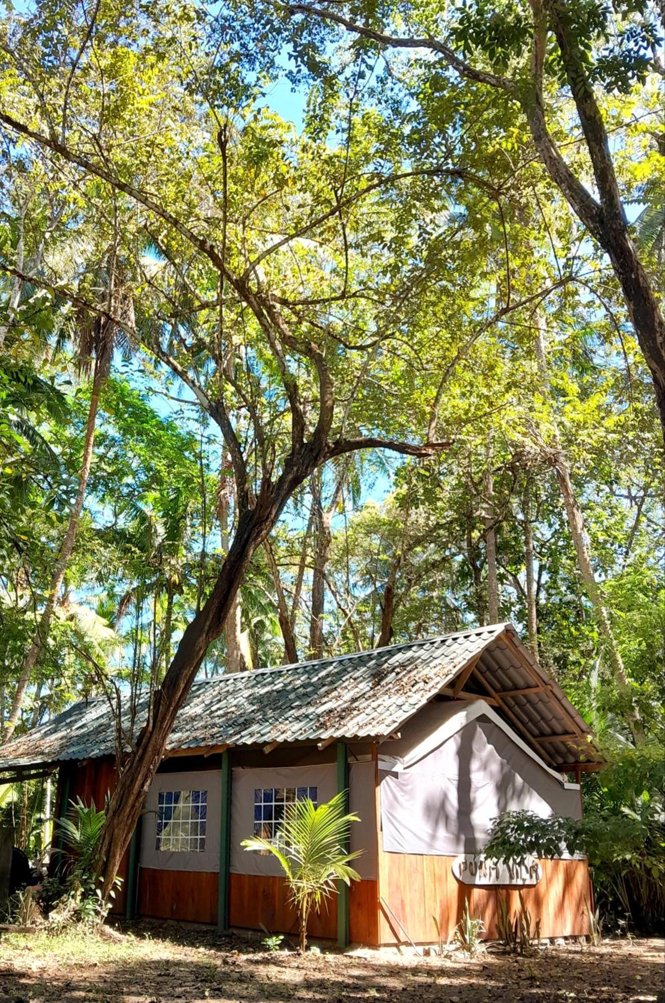 Fully Furnished Family Jungle Tent, Latino Glamping Paquera Exterior foto
