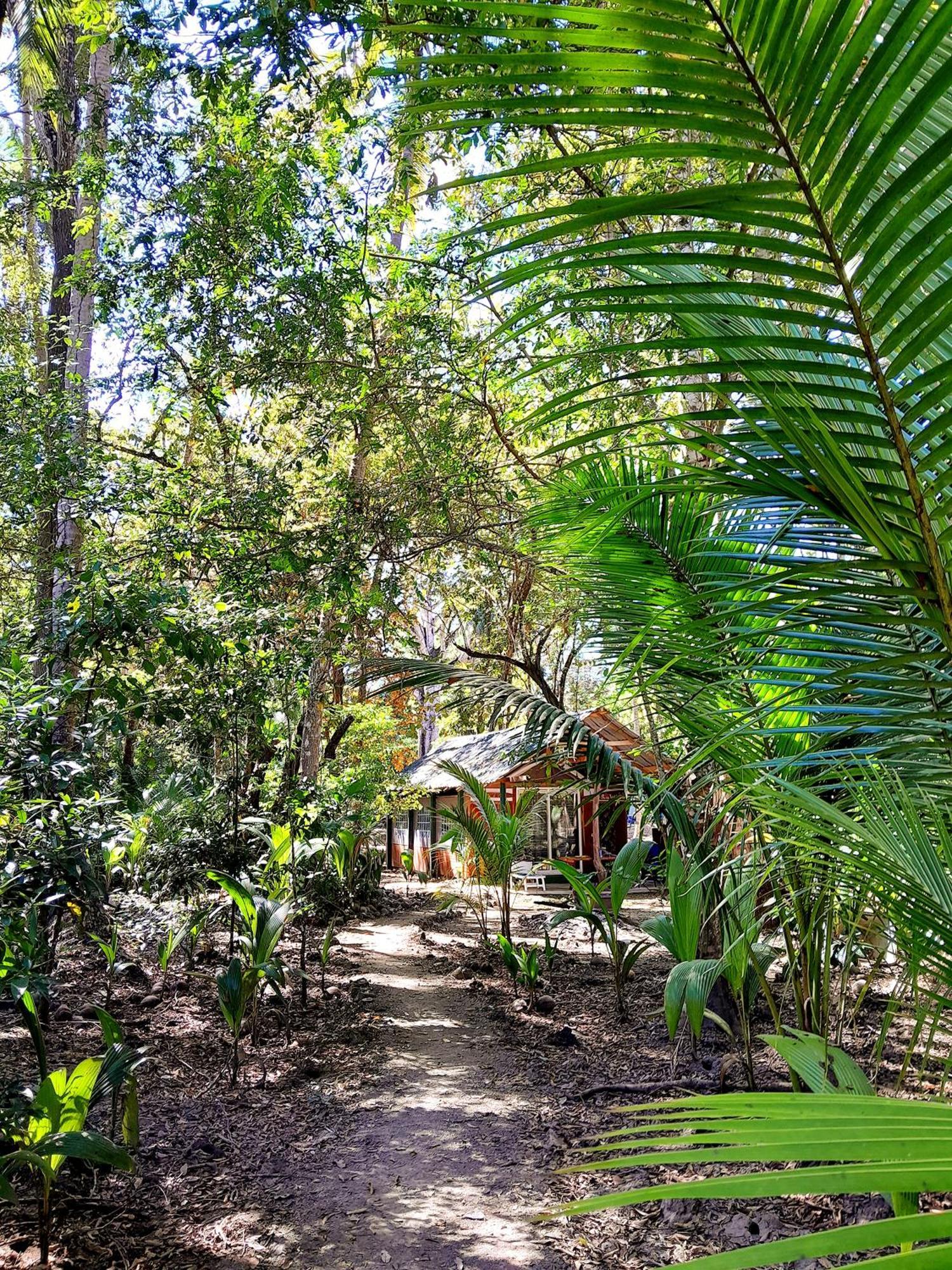 Fully Furnished Family Jungle Tent, Latino Glamping Paquera Exterior foto