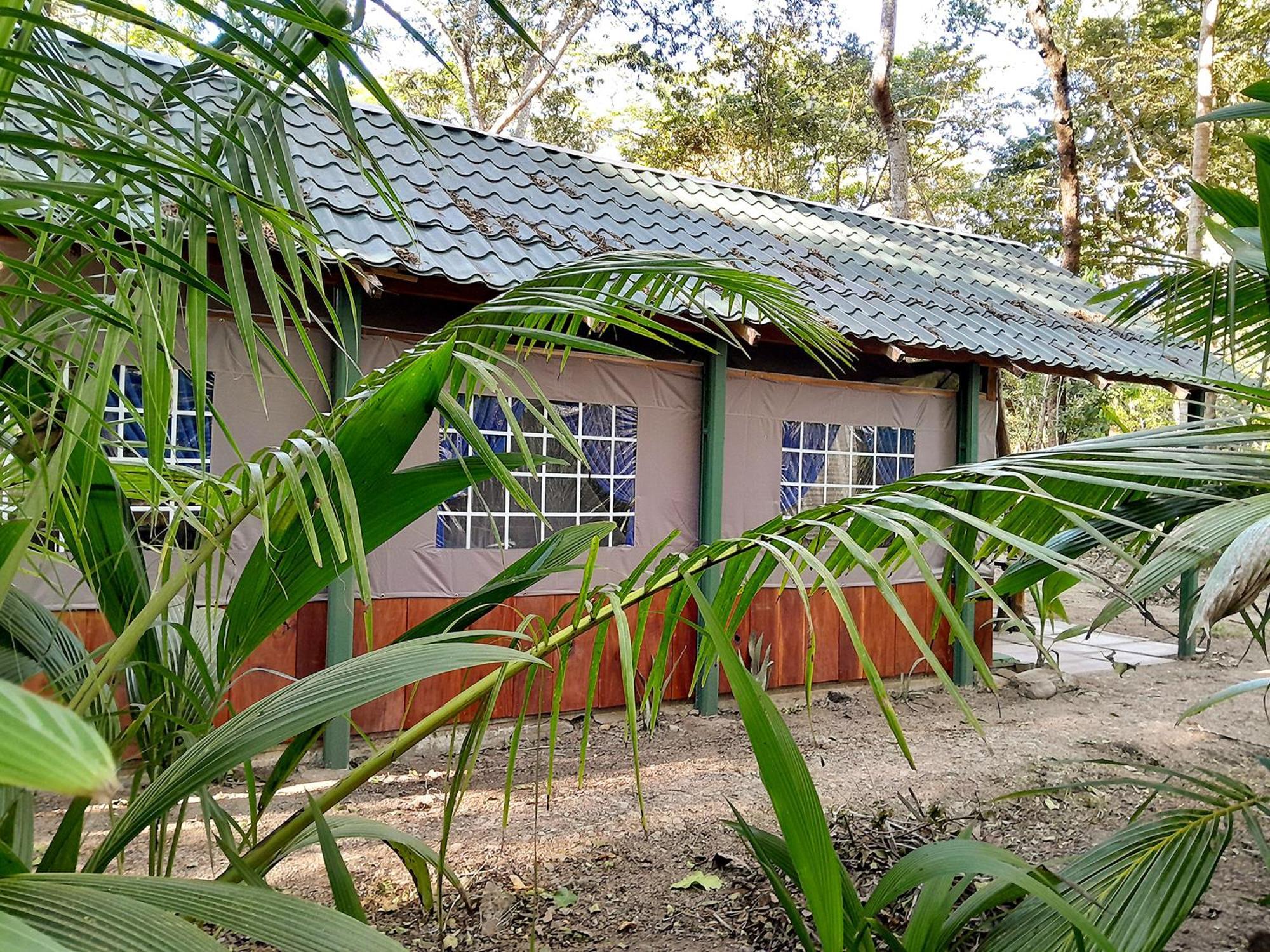 Fully Furnished Family Jungle Tent, Latino Glamping Paquera Exterior foto