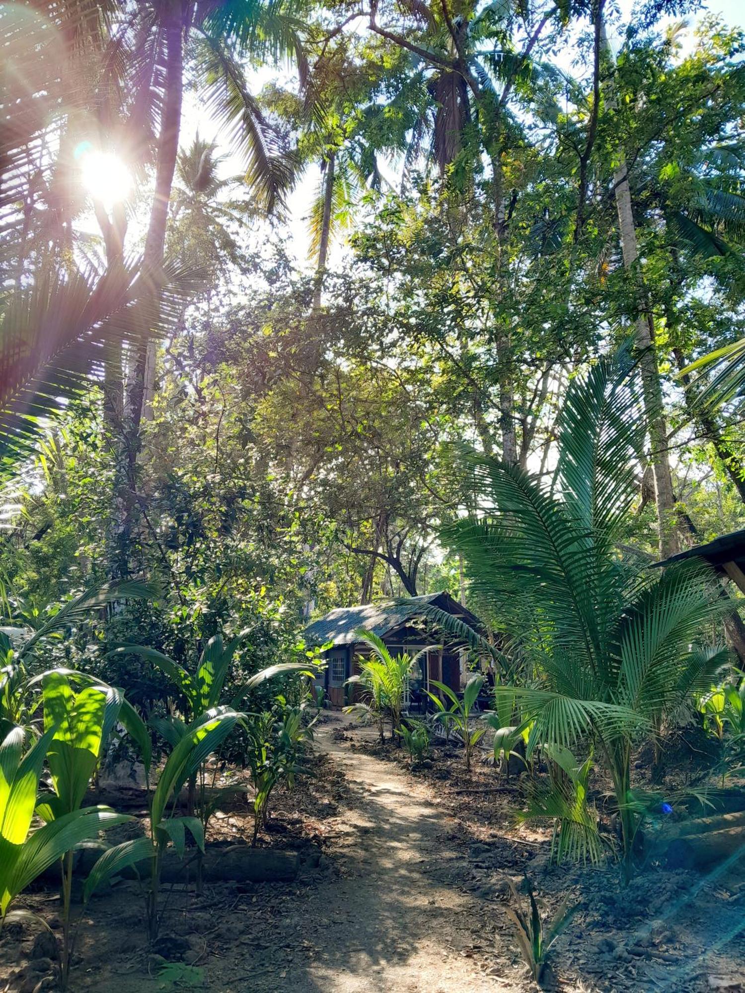 Fully Furnished Family Jungle Tent, Latino Glamping Paquera Exterior foto